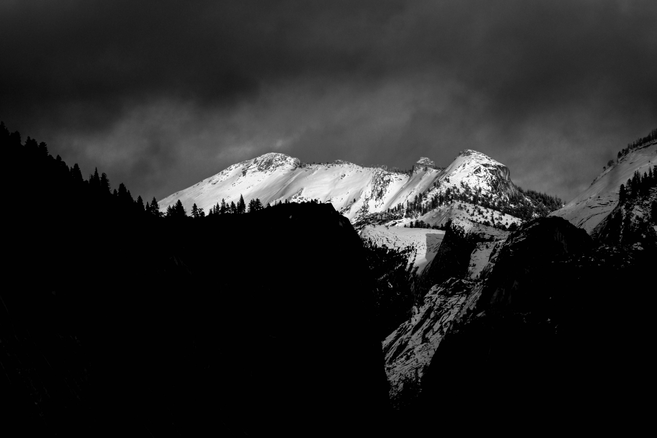 DSCF2292.webp