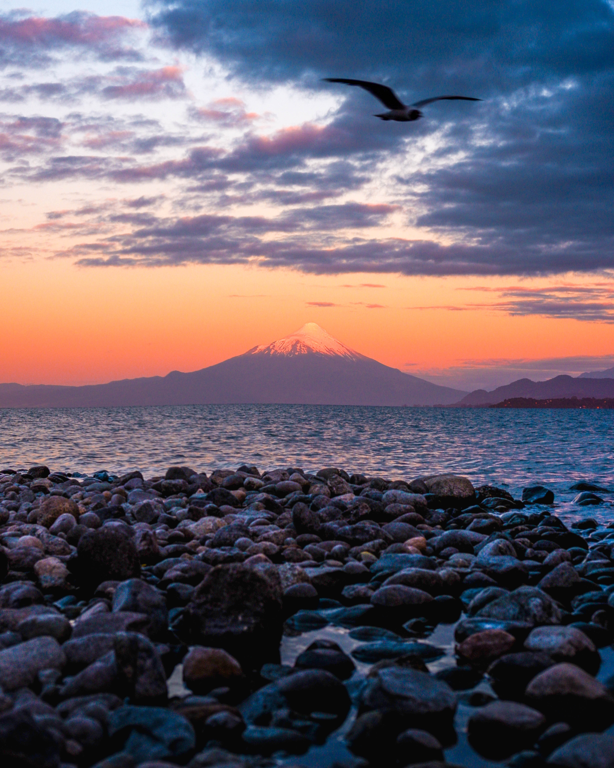 DSCF4481-8.webp