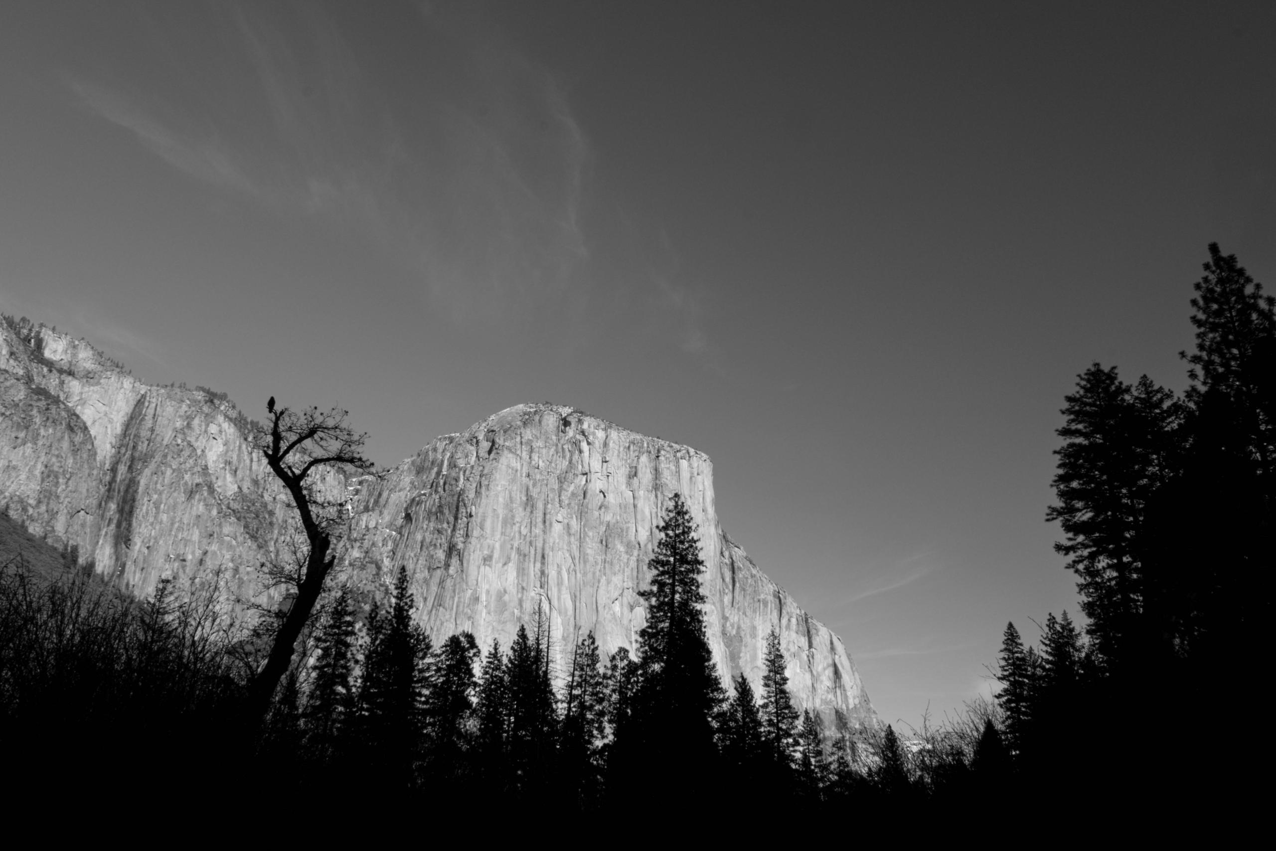 DSCF7308.webp
