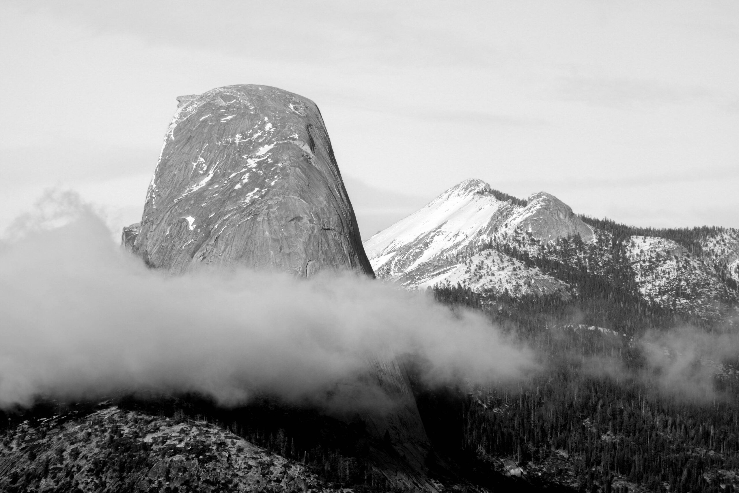 DSCF3114-2