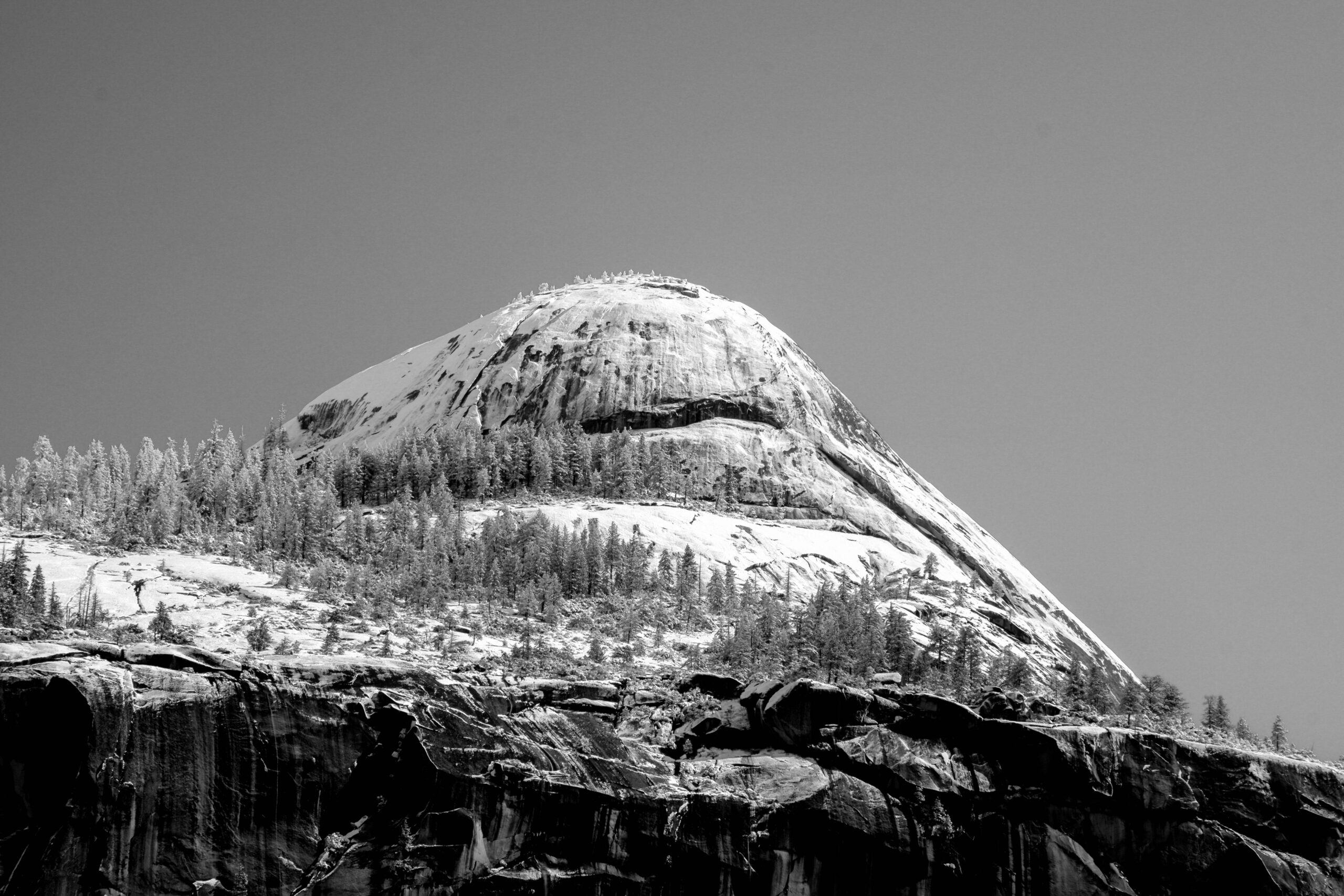 DSCF4841-2