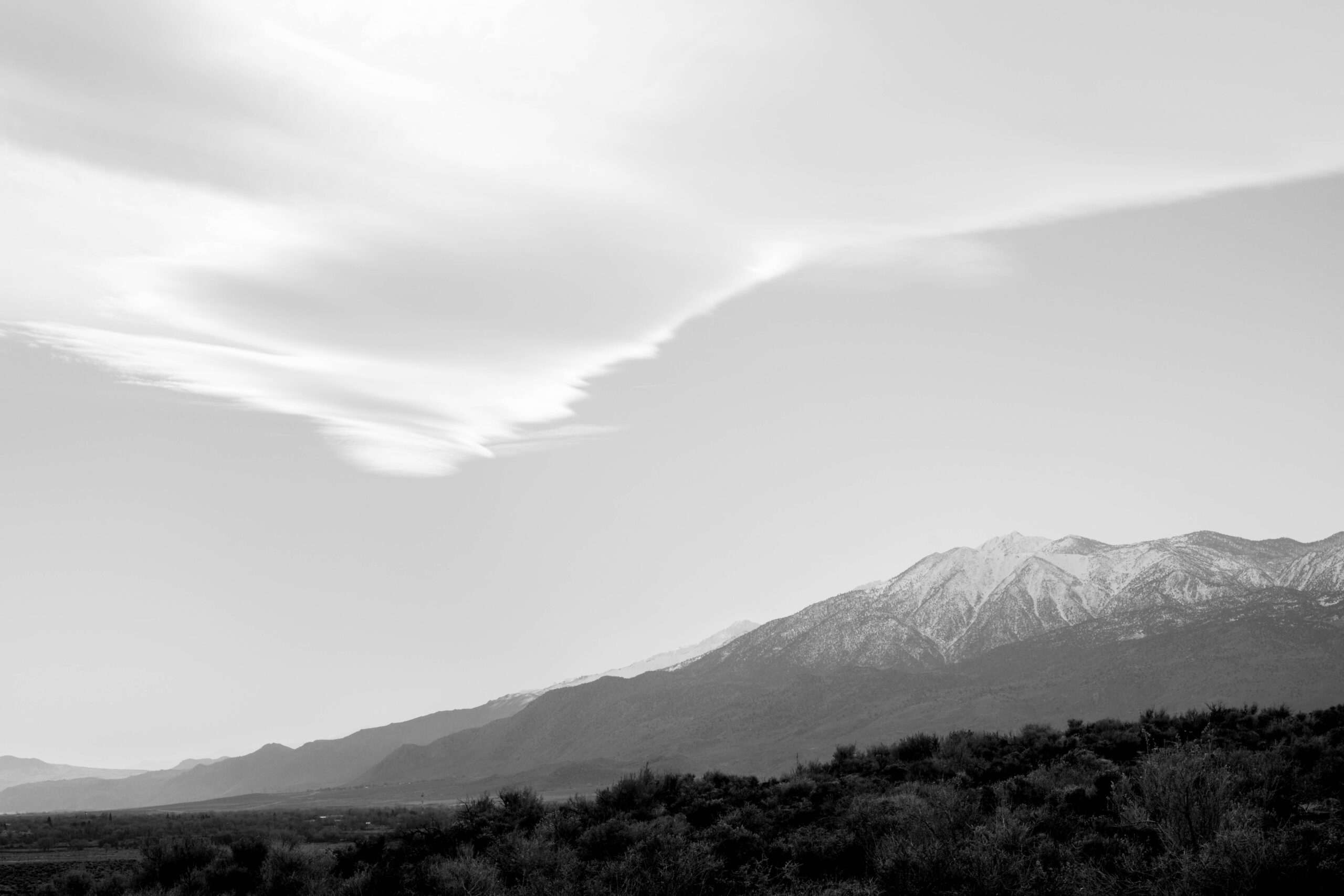 DSCF7479