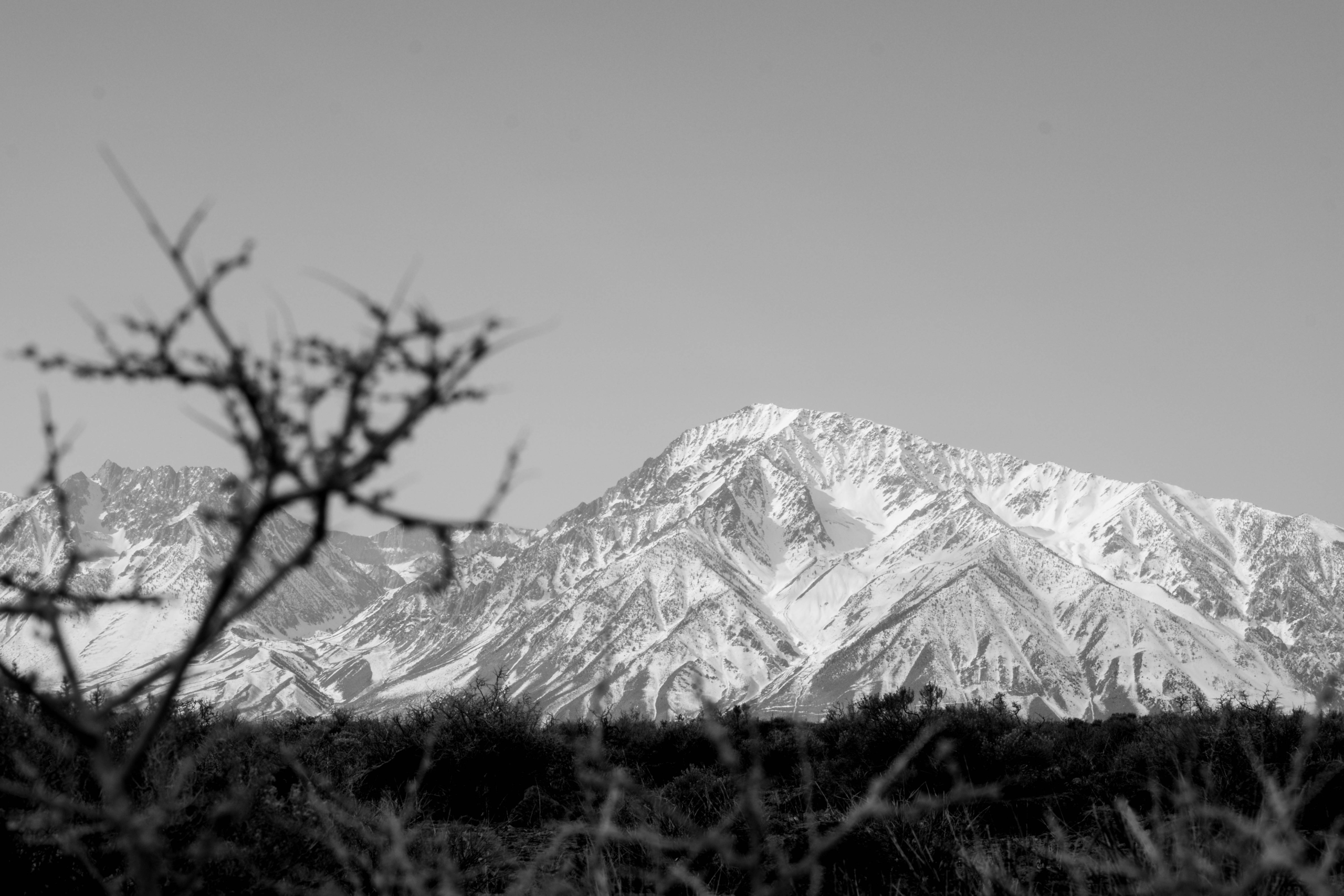 DSCF7499-2